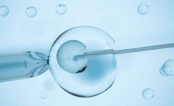 高龄做试管移植几个胚胎比较好试管婴儿适合高龄女性吗