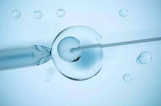 如何改善试管受孕胚胎发育环境，这三个方法能提高受孕率