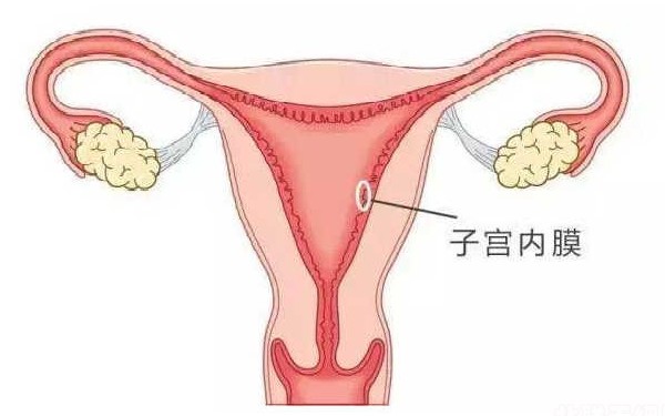 泰国供精试管并非人人能做，到底如何助孕戳文了解一下