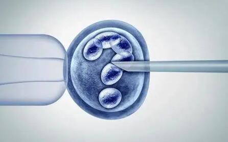 试管婴儿早期胚胎移植到什么位置附上时间介绍及特定位置解析