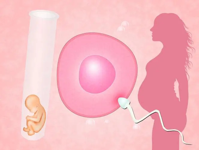 试管婴儿只移植了一个胚胎，为什么会出现两个宝宝