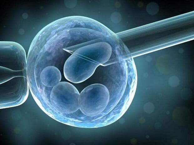 女性试管胚胎移植手术成功后需要用多久的保胎药