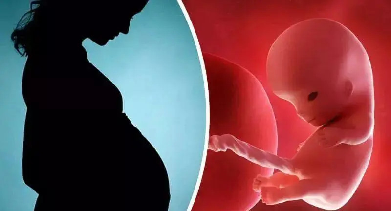 泰国试管二次促排是受孕的最佳方式吗促排卵第二次会成功吗